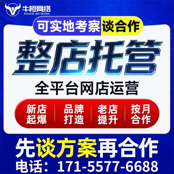 临沧电商代运营