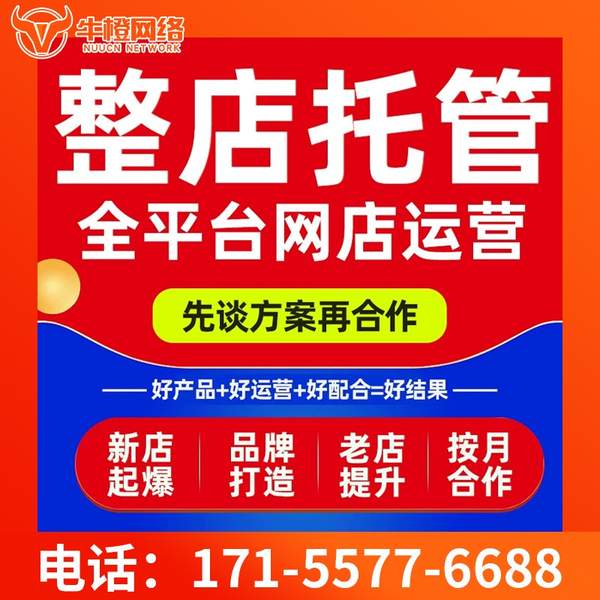 临沧电商代运营