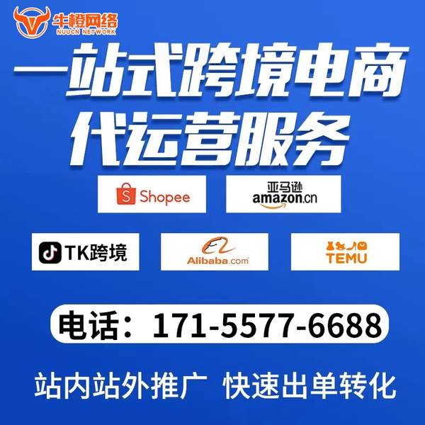 临沧电商代运营