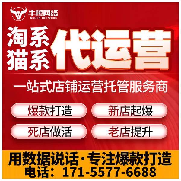 临沧电商代运营